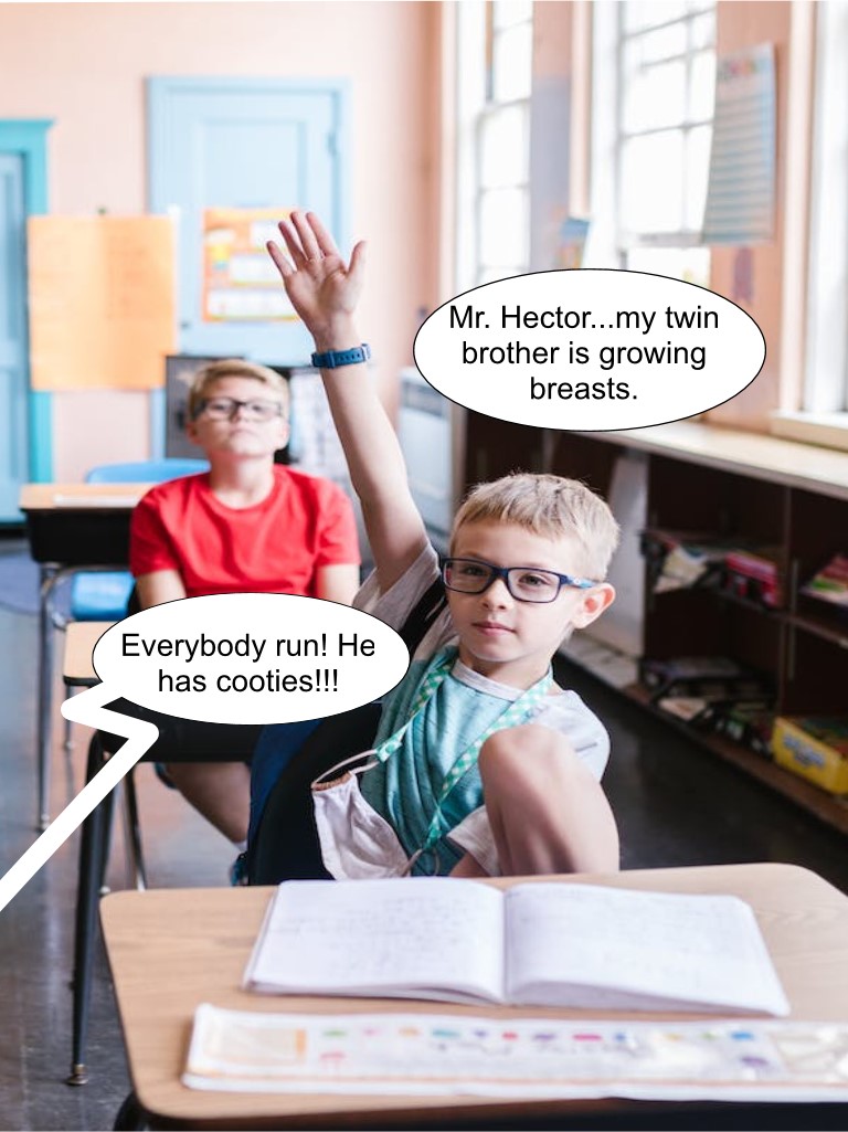 Role Swapper in the Classroom